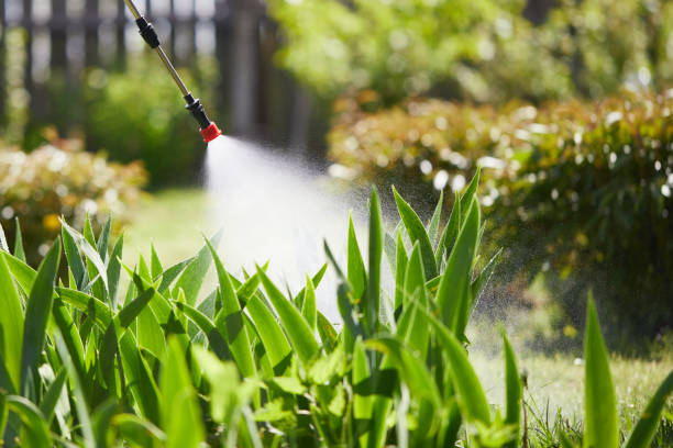 Tamper-Resistant Bait Stations for Rodents in Great Falls