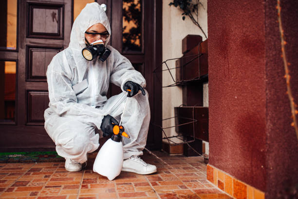 Attic and Crawl Space Rodent Treatment in Great Falls