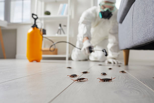 Commercial Rodent Management in Great Falls